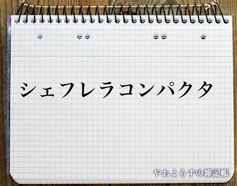 槐 風水|「槐」の風水での解釈 